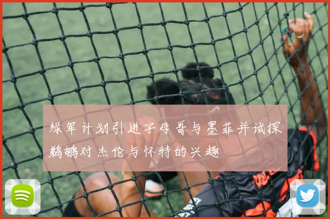 绿军计划引进字母哥与墨菲并试探鹈鹕对杰伦与怀特的兴趣